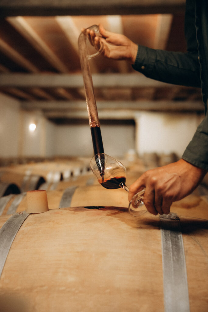 oenotourisme - domaine de la tuilerie