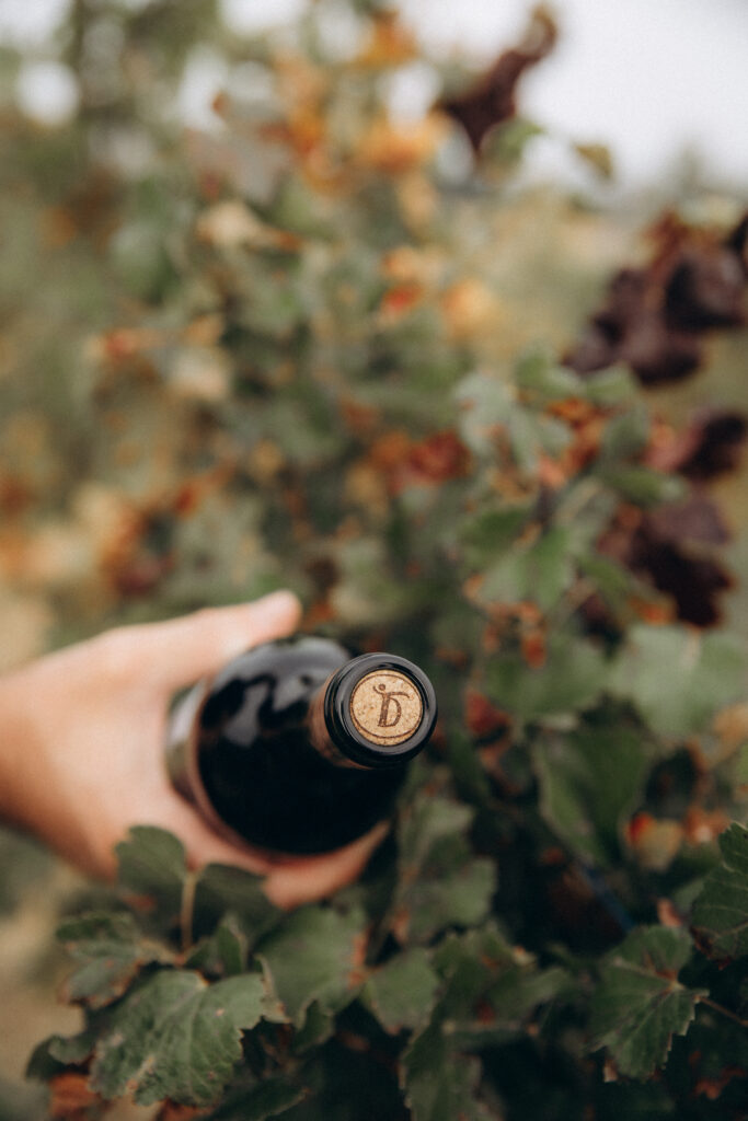 Domaine de la Tuilerie - Famille Pellefigue - Gers